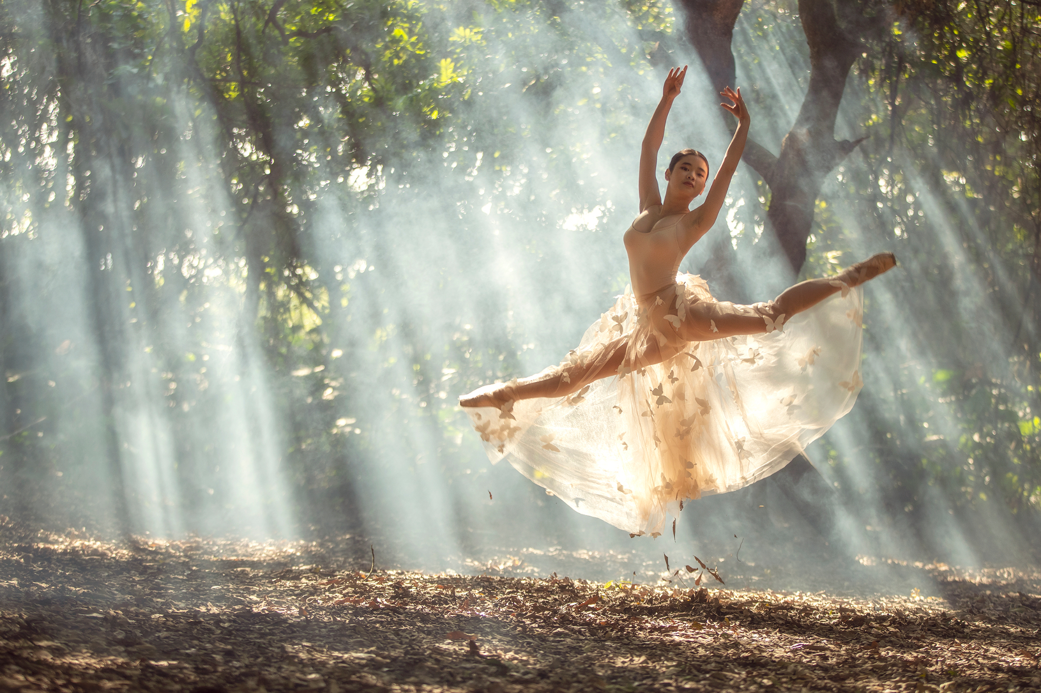 Recovered cr2 file(252)