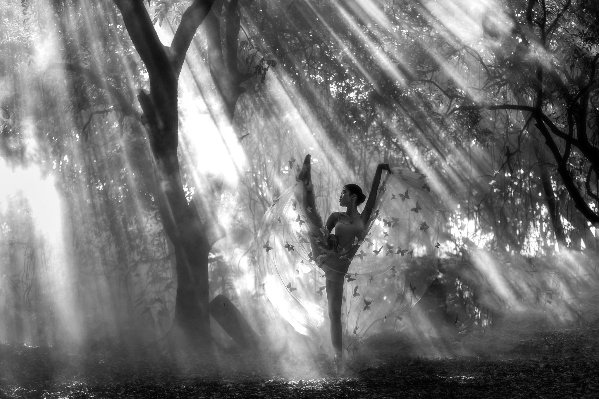 Recovered cr2 file(316)