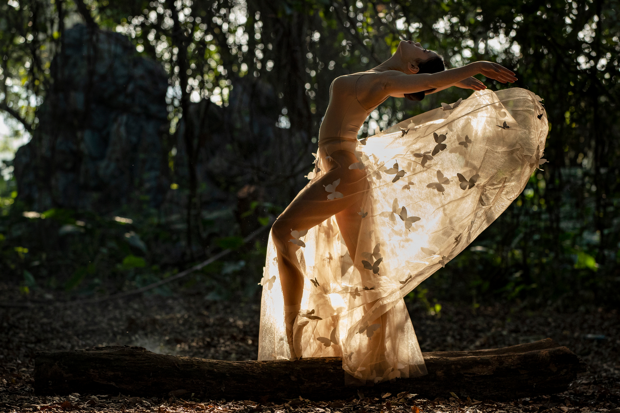 Recovered cr2 file(358)