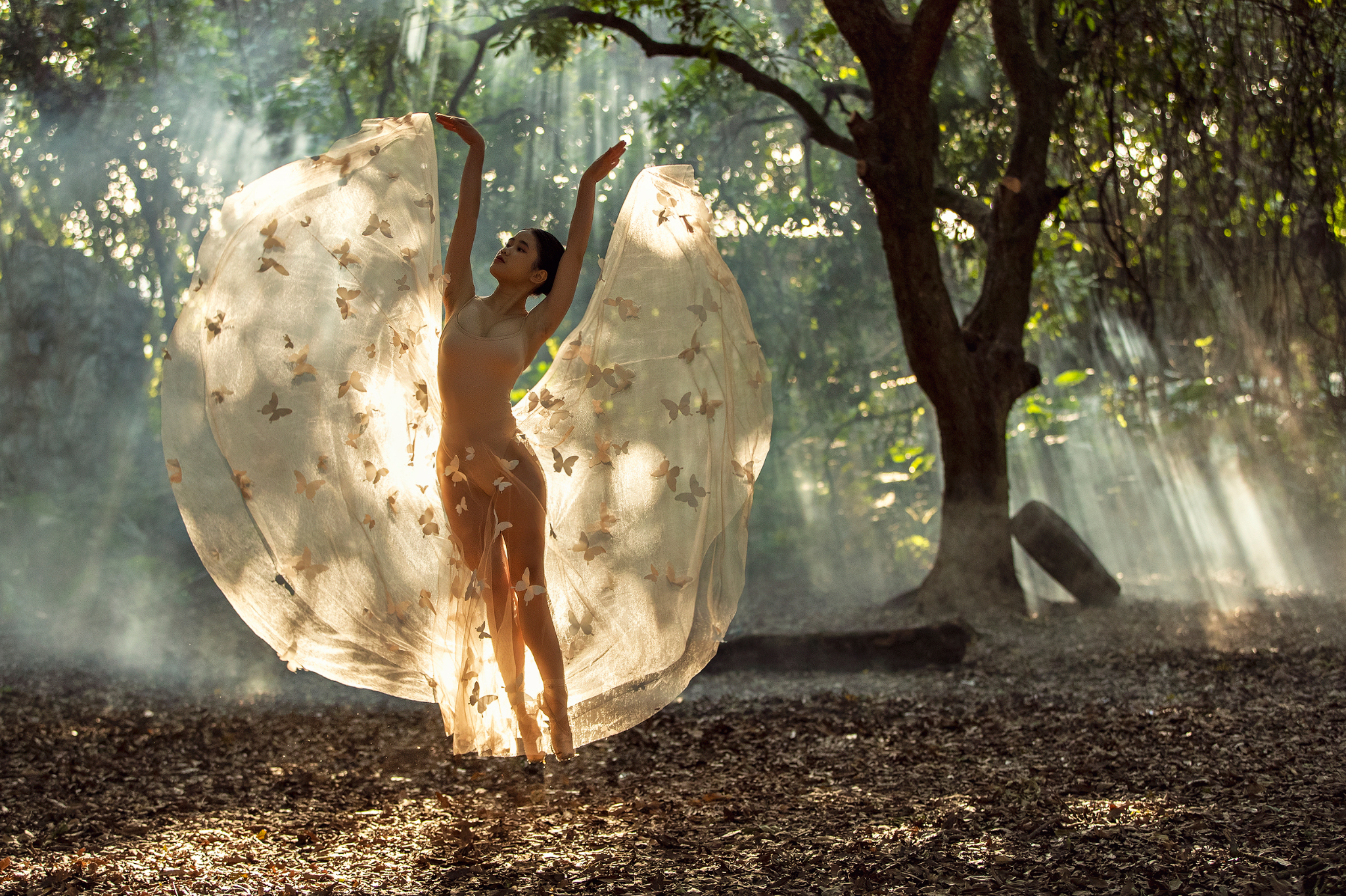 Recovered cr2 file(406)