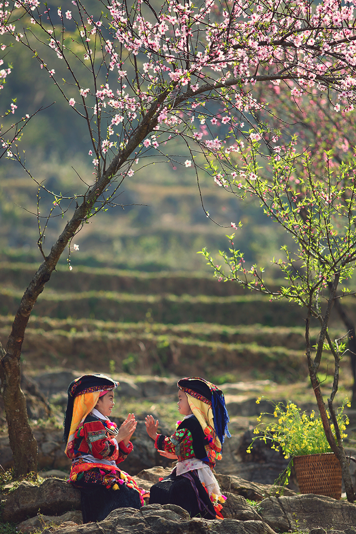 16495218107 59769bd163 o