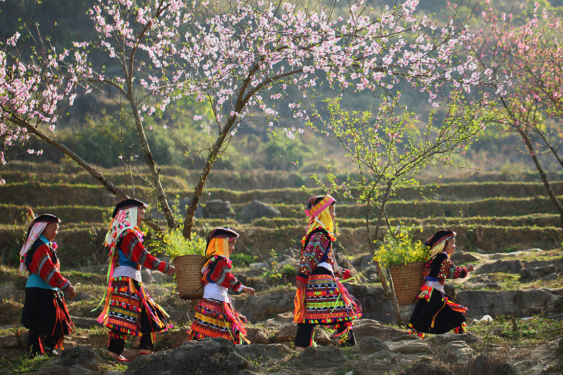 16830653221 d5efe30dd3 o