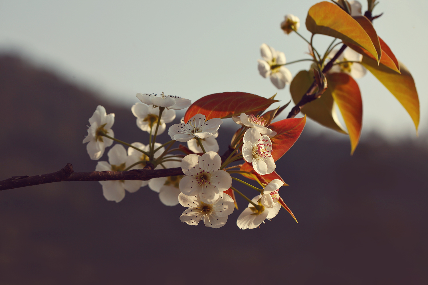 38568493465 0d02f9b01f o