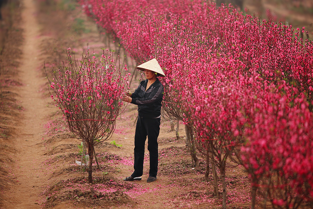 16533625226 7629baf143 o