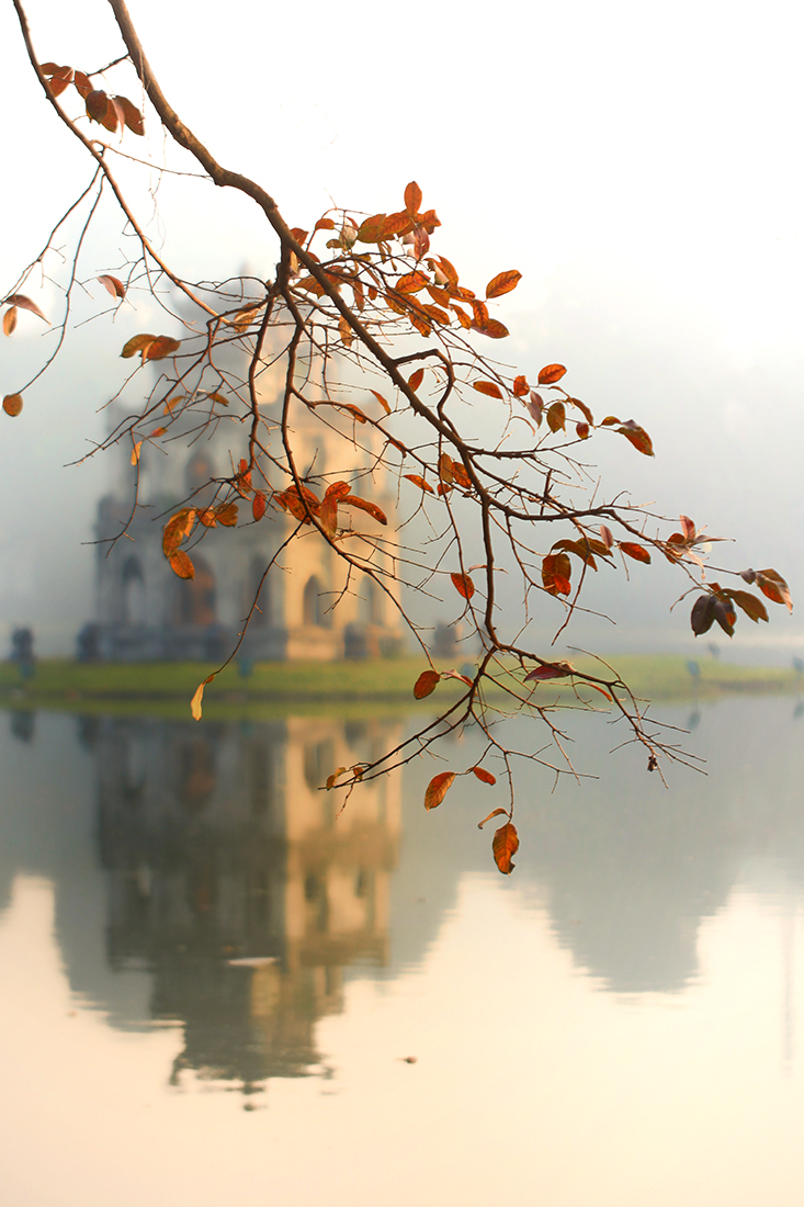 24553767664 884d310f73 o