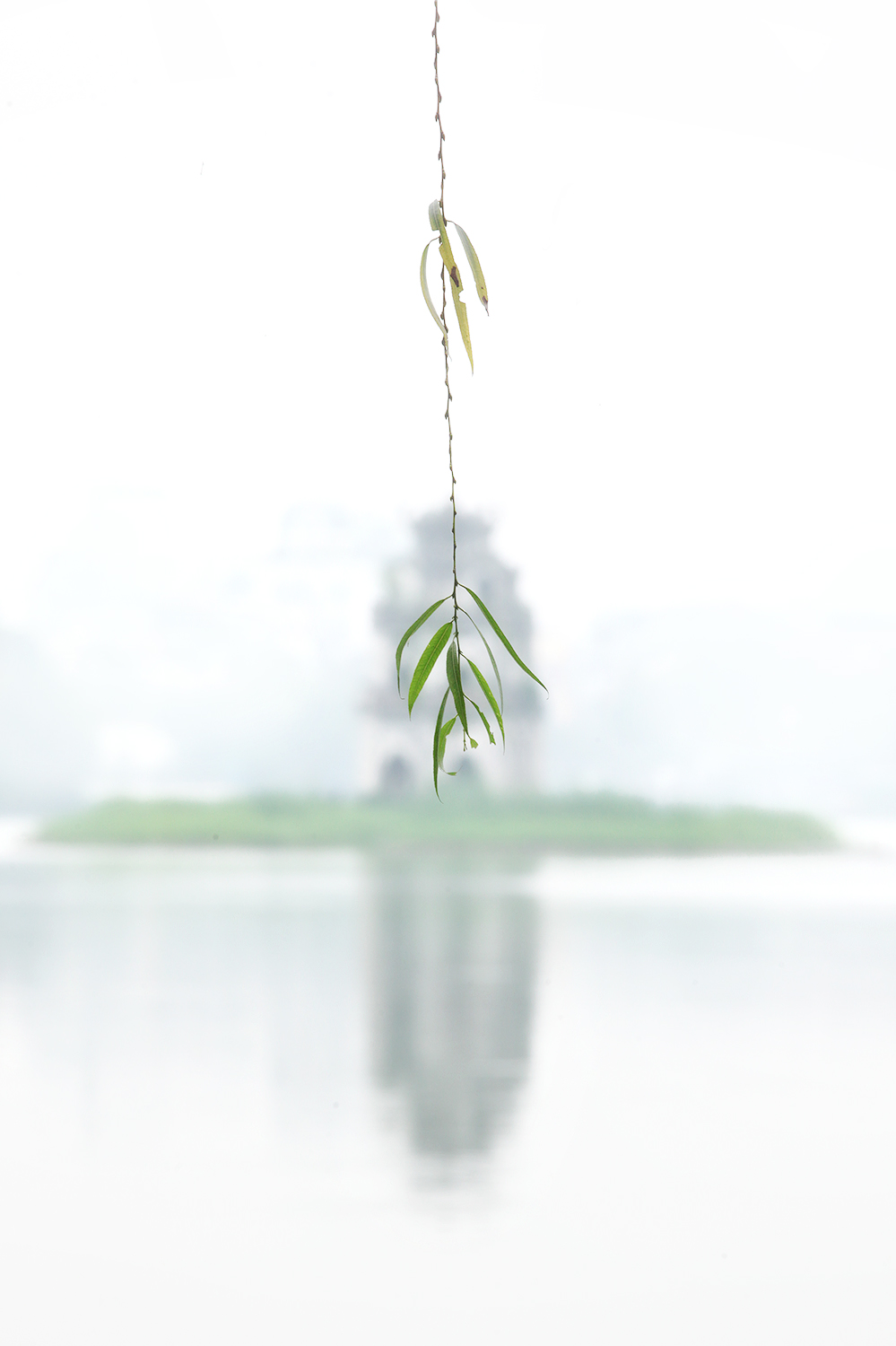 32934545713 ed3f7e7035 o