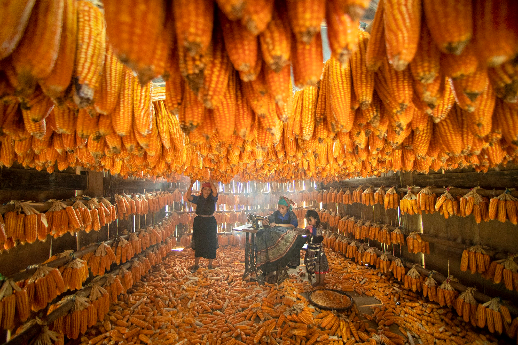 Z4748866714470 2ba0d9dfcde1ce76e23aa40014d528a3