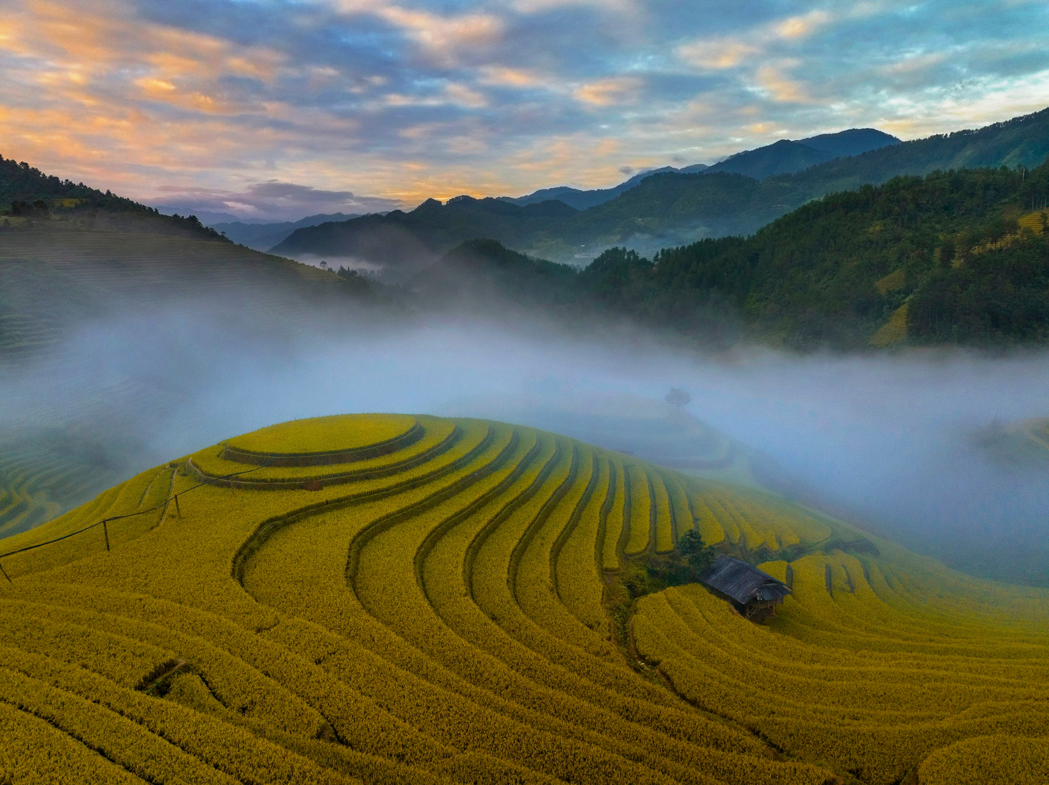 Z4754613895708 c79cc46db6636d273c8b560571d1a081