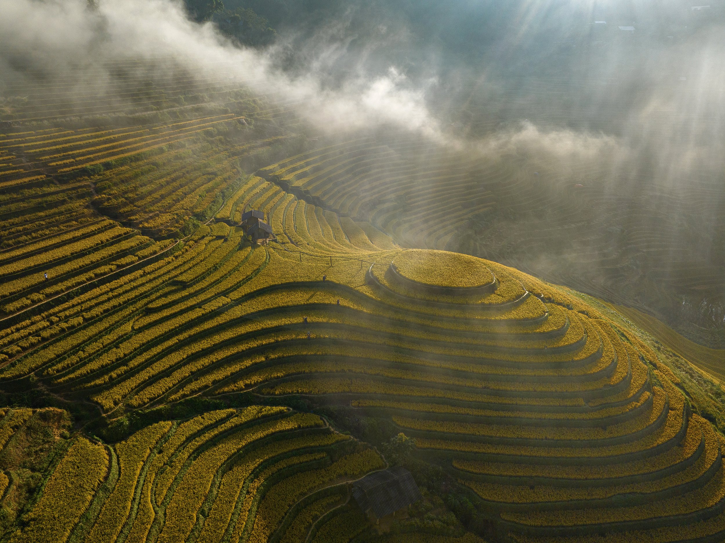 Z4829109591440 e9791beb18259dc7c9b3888b8c6e1558