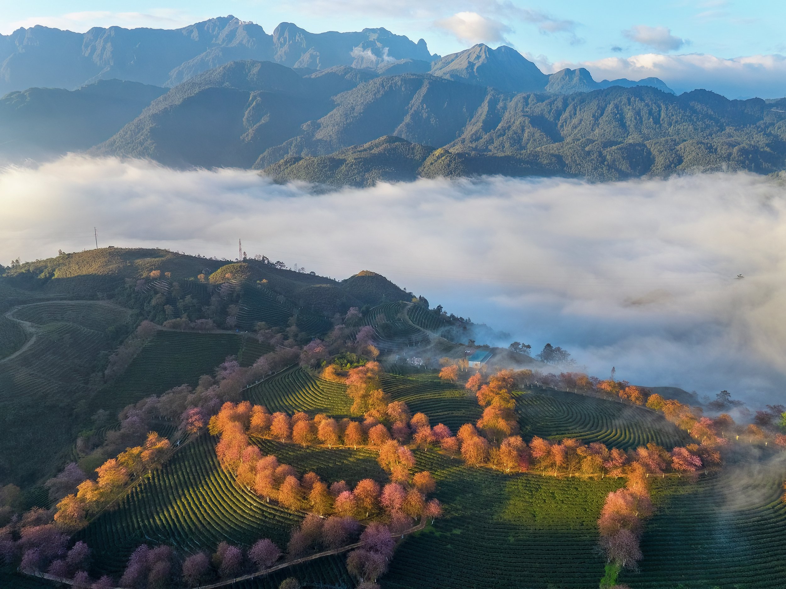 Z5013187153753 69ee1099f11a3d3c10a71e9c82eb3b94